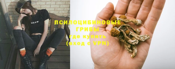 индика Белоозёрский