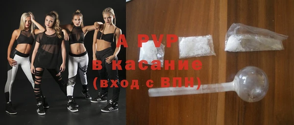индика Белоозёрский