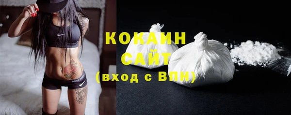 индика Белоозёрский
