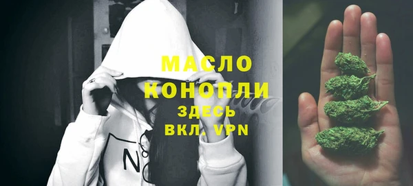 индика Белоозёрский
