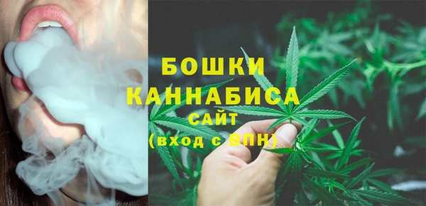 индика Белоозёрский