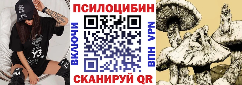 Псилоцибиновые грибы мухоморы  где купить наркотик  Оха 